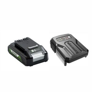 Greenworks Battery G24B2 and Charger G24UC (Li-Ion 24V 2Ah 60W Output 60 Minutes Charging Time for 2Ah Appropriate for All Devices from the 24V Greenworks Line)