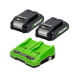 Greenworks 24V Starter-Kit GSK24B2X with 2x2Ah batteries and universal charger (Li-Ion 24V 2Ah output 48W/2A suitable for all devices and batteries of the 24V and 2x24V Greenworks series)