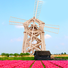 model cars and trucks, wood model kits, model car kits amazon, melissa and doug, wood cars to paint