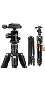 TRIPOD TM2324