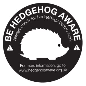 Hedgehog
