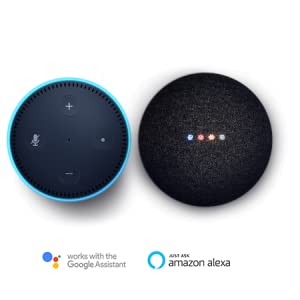 Amazon Echo Dot and Google Home Mini