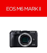 M6 mark M6