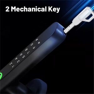 Fingerprint Door Lock
