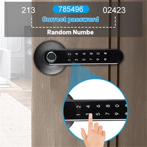 Fingerprint Door Lock