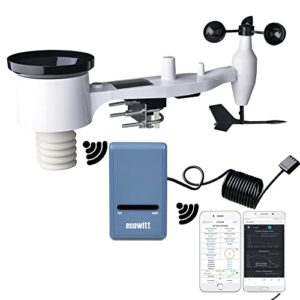 ECOWITT Weather Stations GW1101