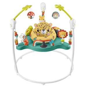 ​Fisher-Price Jumperoo Baby Activity Center with Lights Sounds and Music