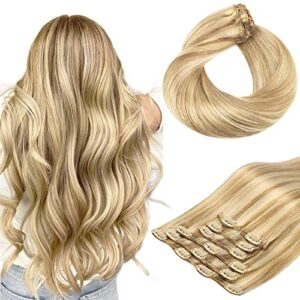 Clip in Hair Extensions