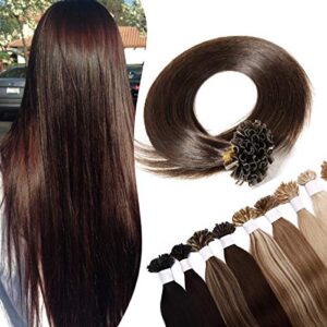 24 inch SEGO Pre Bonded Human Hair Extensions [0.5g*100 Strands] #2 Dark Brown U Tip Invisible (50g)