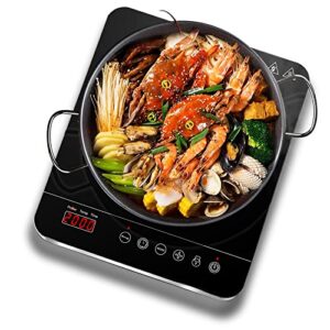 Aobosi Single Induction Hob