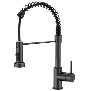 FORIOUS Kitchen Tap