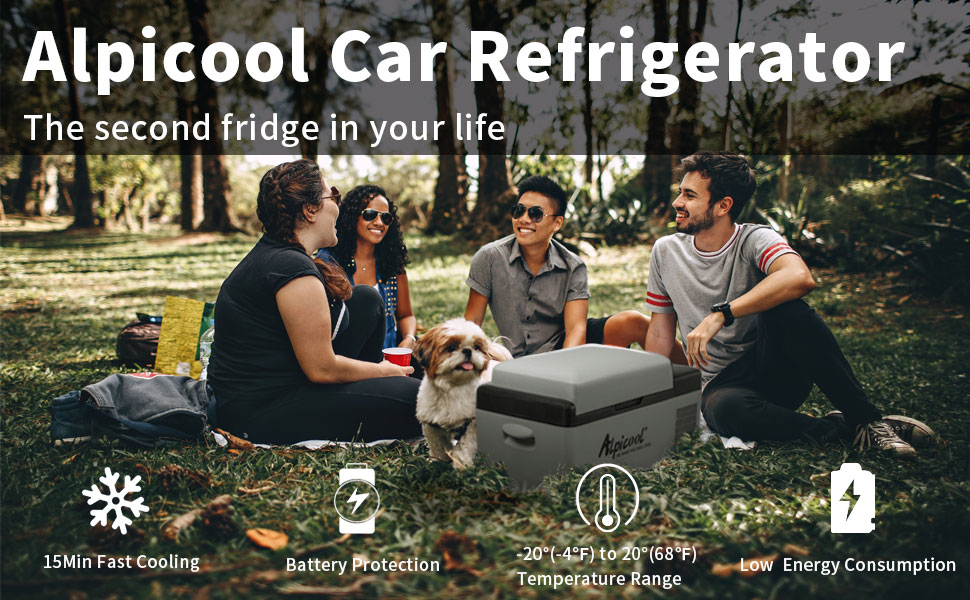 car fridge