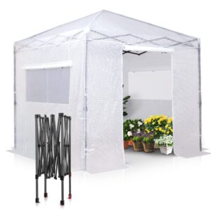EAGLE PEAK 2.5m x 2.5m Portable Walk-in Greenhouse and Canopy Tent