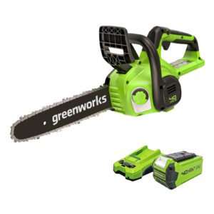 Greenworks G40CS30IIK2 Cordless Chainsaw