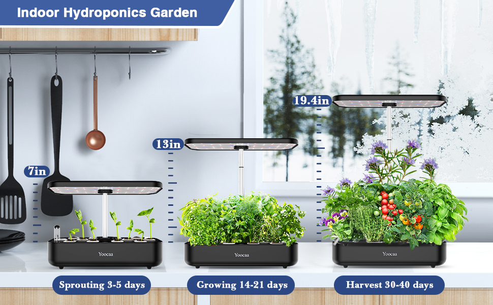 hydroponics