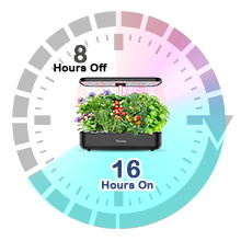 herb garden
