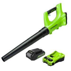 Greenworks G24ABK2 Cordless Axial Leaf Blower