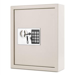 Flexzion Key Cabinet Key Lock Box Wall Mount with Digital Lock