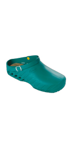 CLOG_EVO_comp