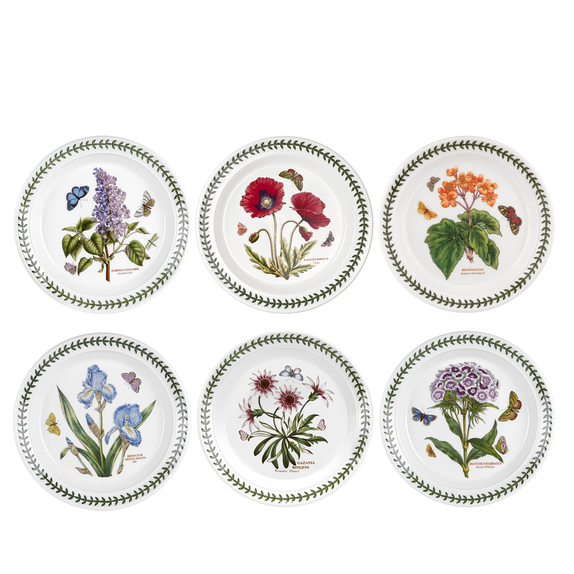Portmeirion Botanic Garden Plate