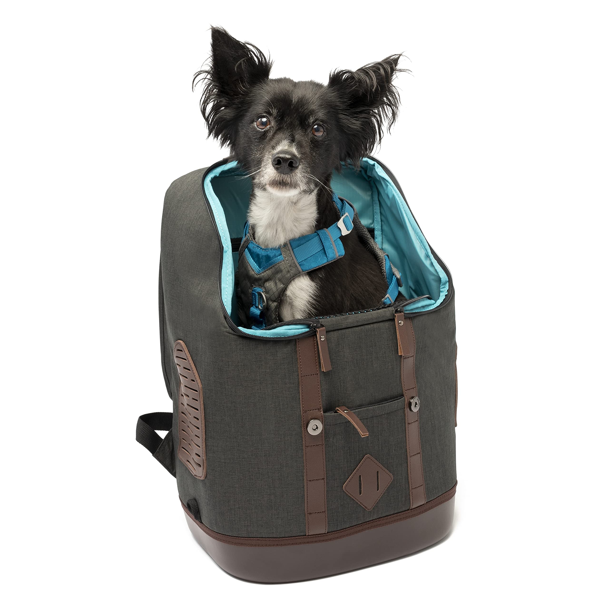 Kurgo K9 Rucksack