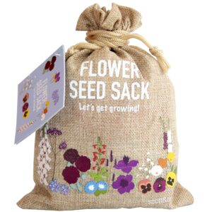 Scott & Co. Flower Seed Variety Pack - 30 Different Varieties of Flower Seeds to Grow Your Own. Butterfly