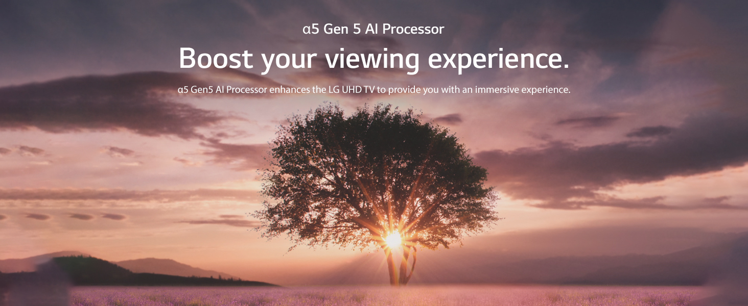 Immersive Experience