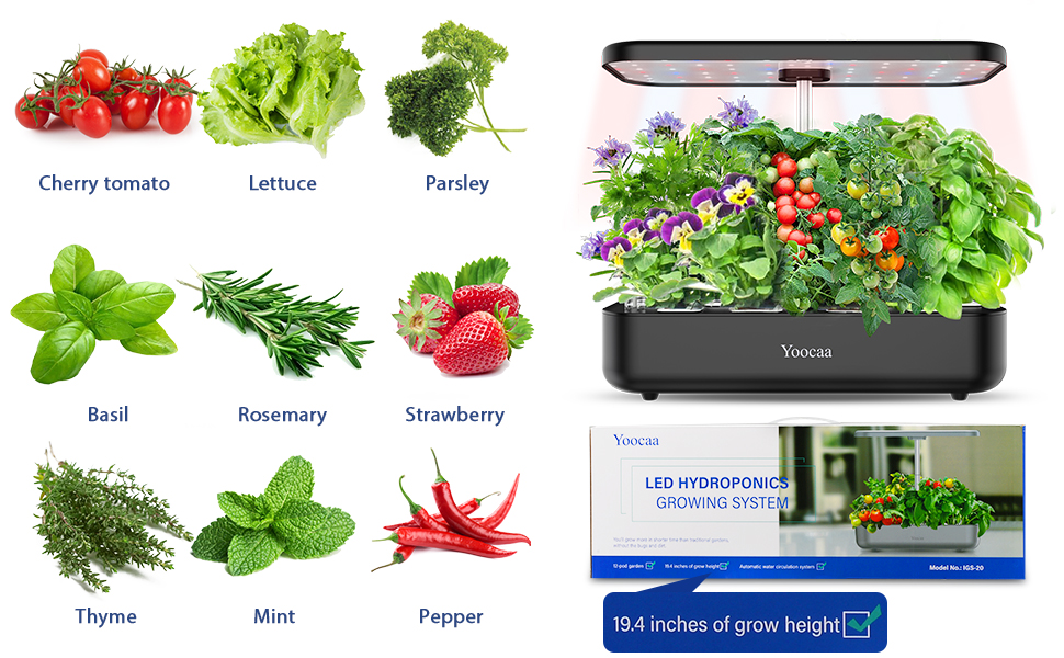 hydroponics