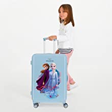 Frozen suitcase