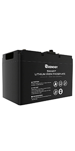 Renogy 12V 50Ah Lithium Iron Phosphate Battery Deep Cycle with Over 2000 Cycles for UPS RV Camper
