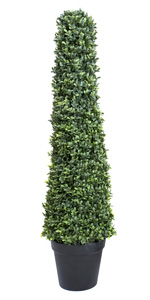 Cone Topiary 