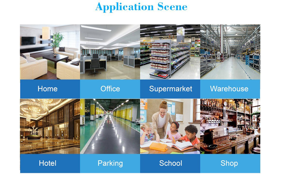 Centralization of Management