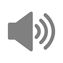 iota flo built in speakers
