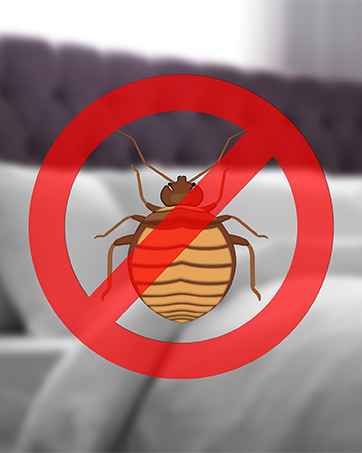 Xterminate Cluster Fly Killer Automatic Dispenser and Spray Aerosol Pack For Lofts and Attics
