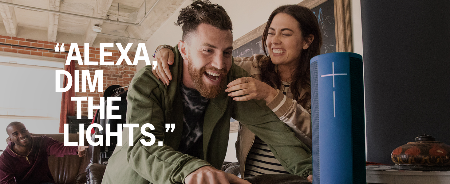 Alexa, dim the lights