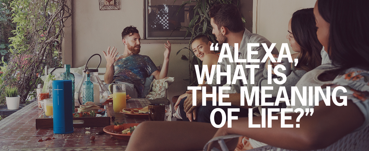 Alexa, what is the meaning of life?