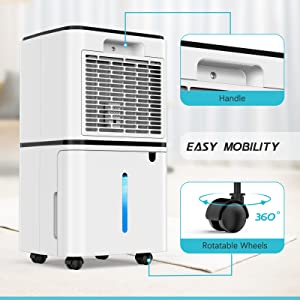 dehumidifiers for home