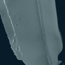 one coat paint swatches