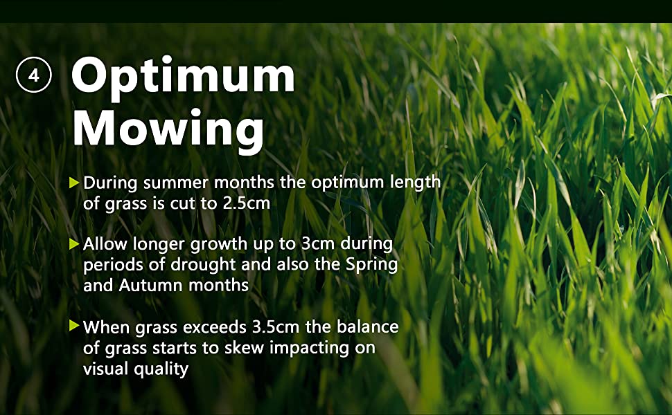 Sowing Calendar