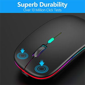 Mouse