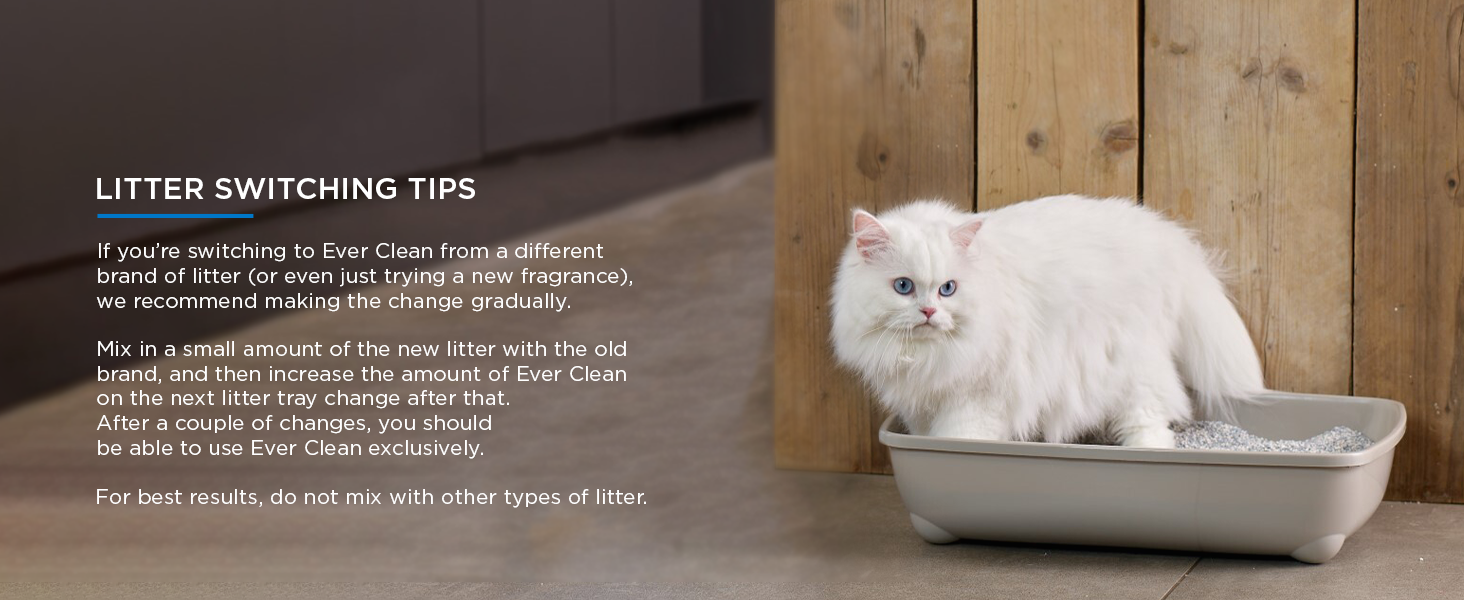 Ever Clean Extra Strong Clumping Scented