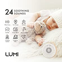lumi