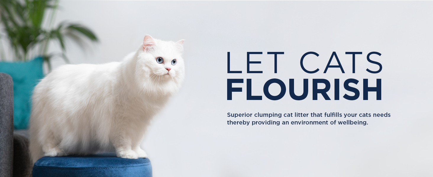 Ever Clean Extra Strong Clumping Scented