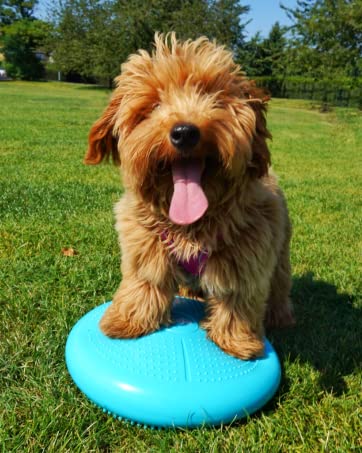 FITSO wobble cushion
