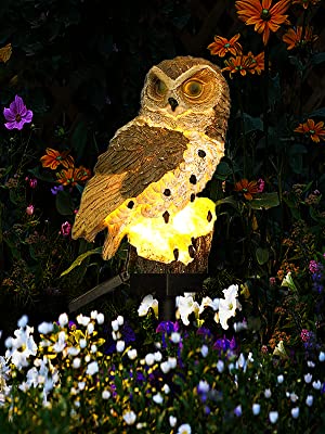 solar owl lights