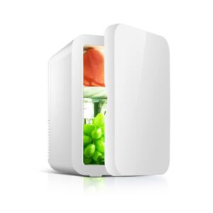 Mini Fridge for Bedrooms 8L Portable Car Fridge Mini Refrigerator with System Cooler and Warmer for Home Office Skincare Bedroom Dorm Car Travel 220V AC/12V DC