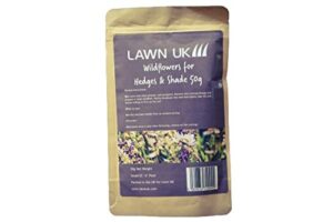 Lawn UK Hedges & Shade Wildflower Seed Mix 50g - Throw & Grow Meadow Seed for Low Light Conditions