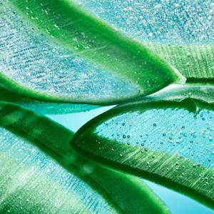 Hydra genius, liquid care, moisturiser, hyaluronic acid, aloe, skincare, aloe water, loreal