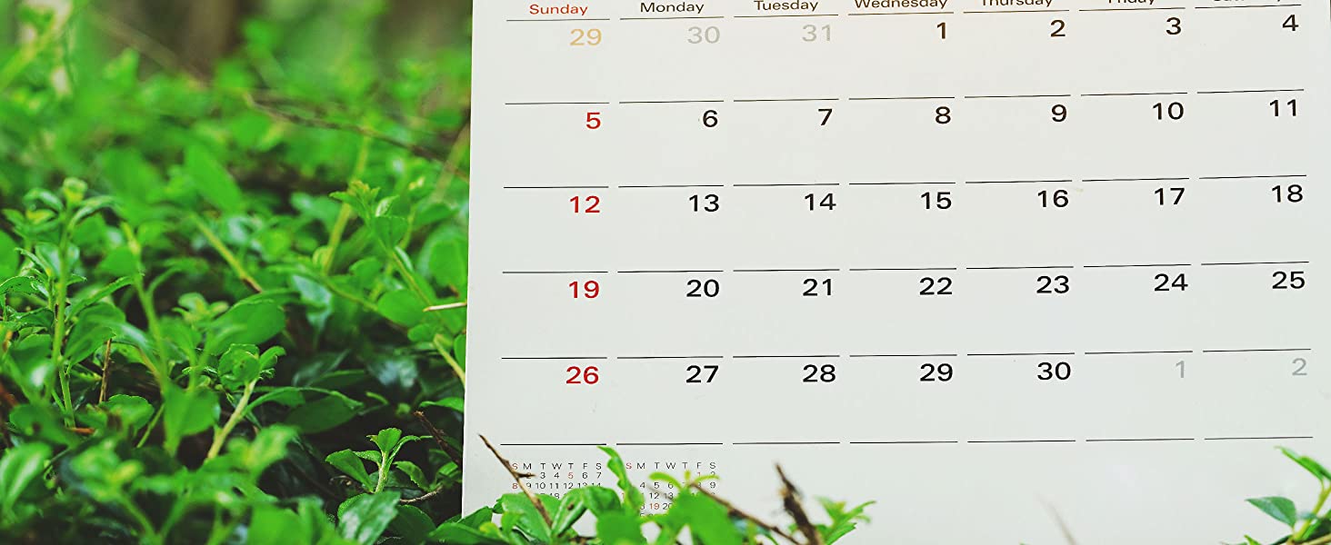 Miracle-Gro Visible Results In 7 Days