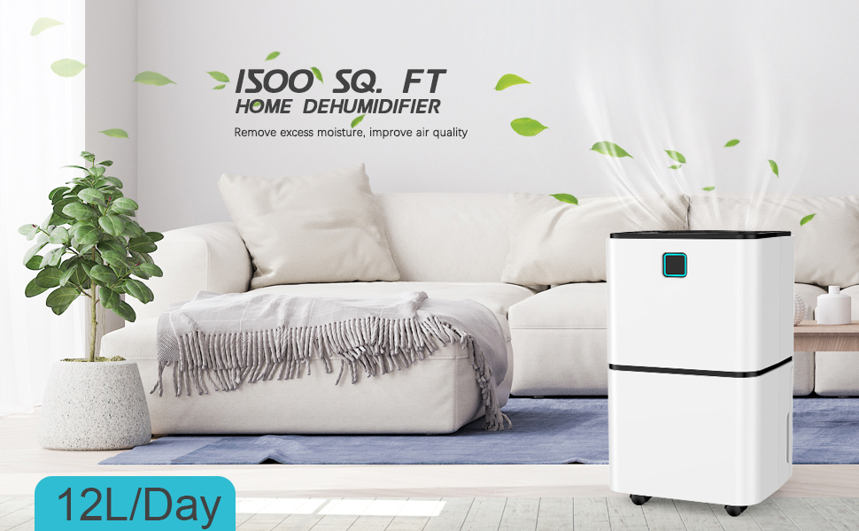 dehumidifiers for home